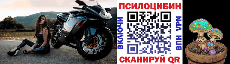Псилоцибиновые грибы ЛСД  Купить закладки  Ершов 